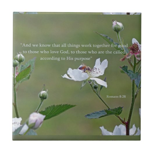 ローマ8:28 タイル (正面)