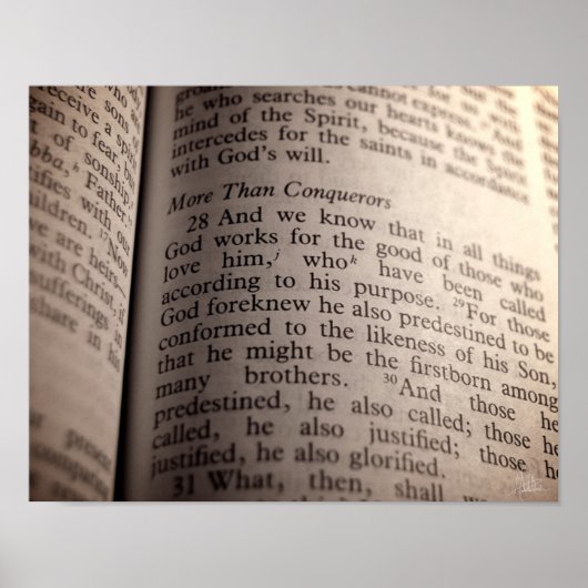 ローマ8:28 [プリント] ポスター (正面)
