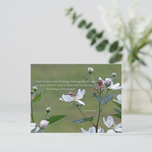 ローマ8:28 ポストカード (スタンド正面)