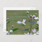 ローマ8:28 ポストカード (正面/裏面)