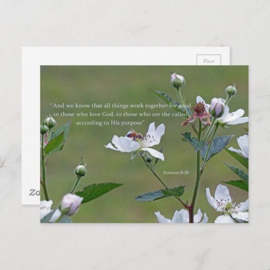 ローマ8:28 ポストカード (正面/裏面)