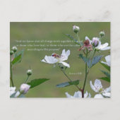 ローマ8:28 ポストカード (正面)