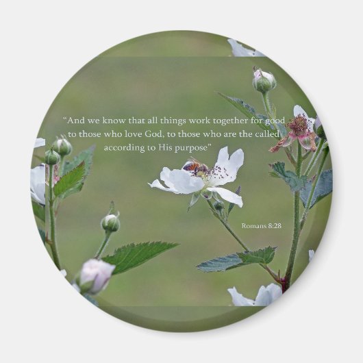 ローマ8:28 マグネット (正面)