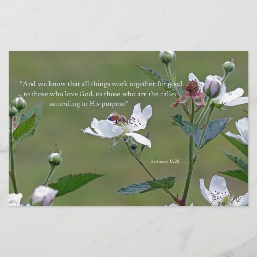 ローマ8:28 便箋 (正面)