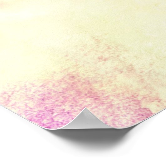 ローマ8:31神もしは私たちに敵対できる私たちのためにある ポスター (角)