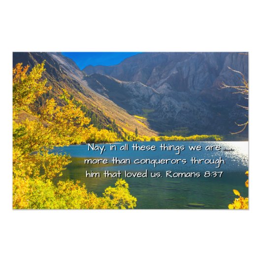 ローマ8:37 フォトプリント            (正面)