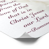 ローマ8:39神の愛の聖書白い蘭 ポスター (角)