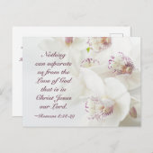 ローマ8:39 神の愛 聖書 白いラン ポストカード (正面/裏面)