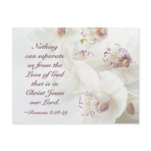 ローマ8:39 神の愛 聖書 白いラン