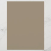 ローマ・コロッセオ、ローマ、旅行代理店の広告 チラシ (裏面)