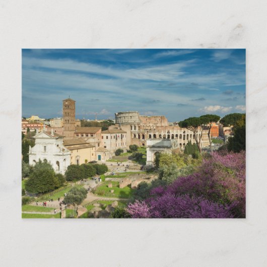 ローマ – フォーラムロマヌムポストカードNo.2の表示 ポストカード (正面)