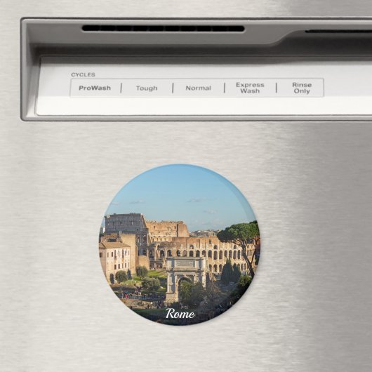 ローマ マグネット (インサイチュ (食洗機))