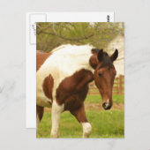 ローミ絵を描ングホースカード ポストカード (正面/裏面)