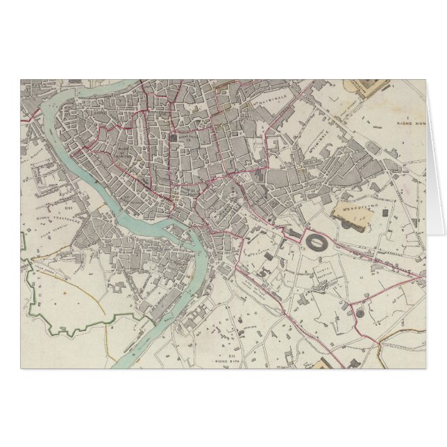 ローモダンマ (正面横)