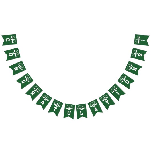 ローユニークスクール卒業 バンティングフラッグ (全)