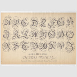 ローラボールデコページ紙 薄葉紙