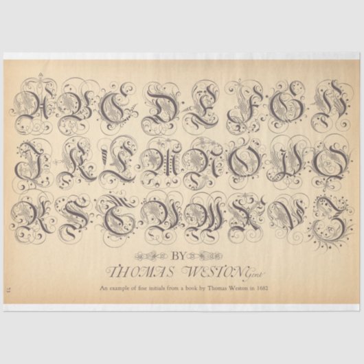 ローラボールデコページ紙 薄葉紙 (正面)