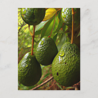 ローラレス ポストカード