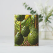 ローラレス ポストカード (スタンド正面)