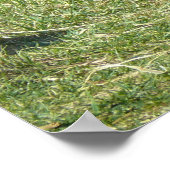 ローランドゴリラ ポスター (角)