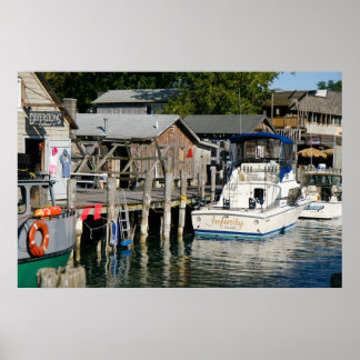 ローランド・フィッシュタウンのポスター ポスター