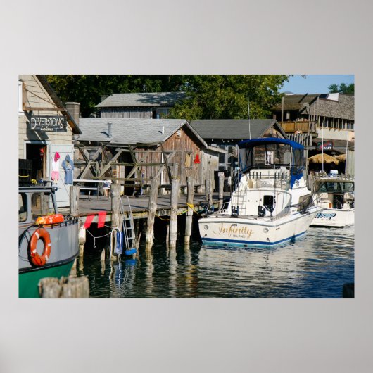 ローランド・フィッシュタウンのポスター ポスター (正面)