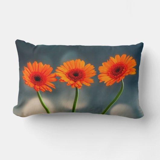 ローランバークッションに3つのオレンジのガーベラ ランバークッション (正面)