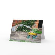 ローラースケートのメイヘム