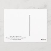 ローラースケートベビーブース ポストカード (裏面)