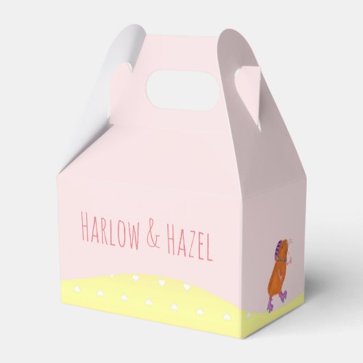 ローラースケート犬とモルモットのパーティーのお願いボックス フェイバーボックス (正面サイド)
