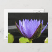 ローラ・フラーゼ ポストカード (正面/裏面)