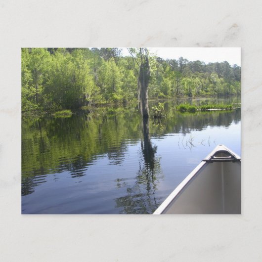 「ローラ・S・ウォーカー州パーク」 ポストカード (正面)