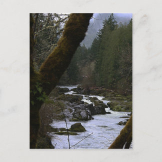 ローリバーラピッド ポストカード