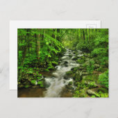 ローリングフォークス モーター トレイル ポストカード (正面/裏面)