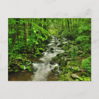 ローリングフォークス モーター トレイル ポストカード