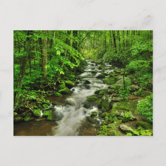 ローリングフォークス モーター トレイル ポストカード (正面)