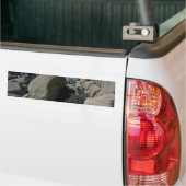 ローリング・ストーン バンパーステッカー (トラック上)