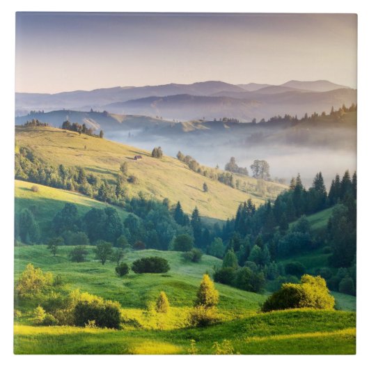 ローリング・ヒルズの風景写真 タイル (正面)