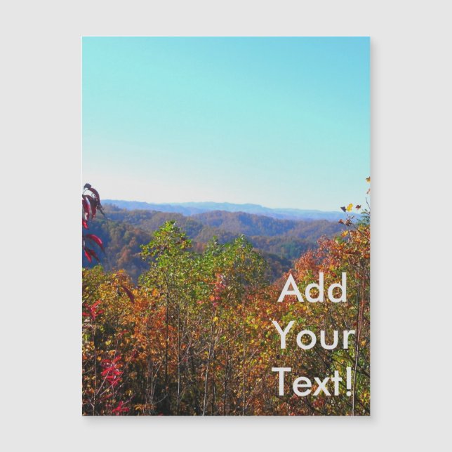 ローリーカウンティシーナリー (正面)