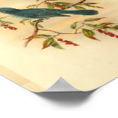 ローリーズブルーフライキャッチャーバードヴィンテージプリント ポスター (角)