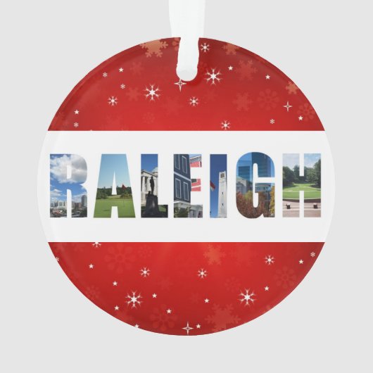 ローリーノースカロライナ旅行写真クリスマス オーナメント (裏面)