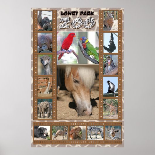 ローリーパーク動物園 ポスター (正面)