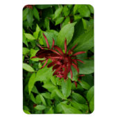 ローリーNCのカロライナのオールスパイスフラワー マグネット (縦)