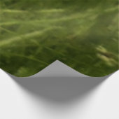 ローレルハイランズペンシルバニア夏の写真 ウッドポスター (コーナー)