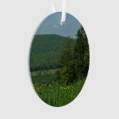 ローレルハイランズペンシルバニア夏の写真 オーナメント (正面)