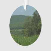 ローレルハイランズペンシルバニア夏の写真 オーナメント (正面)