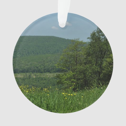 ローレルハイランズペンシルバニア夏の写真 オーナメント (正面)