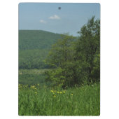 ローレルハイランズペンシルバニア夏の写真 クリップボード (裏面)