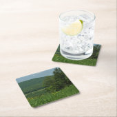 ローレルハイランズペンシルバニア夏の写真 スクエアペーパーコースター (インサイチュ)