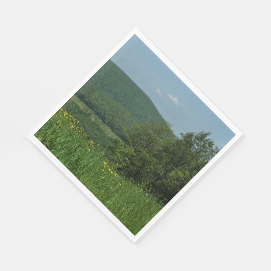 ローレルハイランズペンシルバニア夏の写真 スタンダードランチョンナプキン (角)